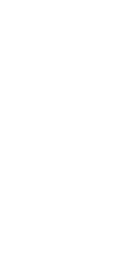 Shape Image
